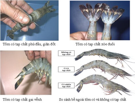 Mách mẹ một vài mẹo nhỏ để phân biệt đâu là thực phẩm sạch đâu là thực phẩm tẩm bơm hóa chất 42 tom-bi-bom-hoa-chat