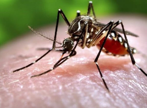 Mẹ bầu bị nhiễm virus Zika đầu tiên tại TP.HCM đã chấm dứt thai kỳ 5