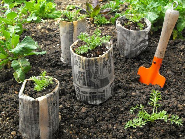 Mẹo biến báo cũ thành chậu ươm rau sạch cho mẹ khéo tay 40 trồng rau sạch