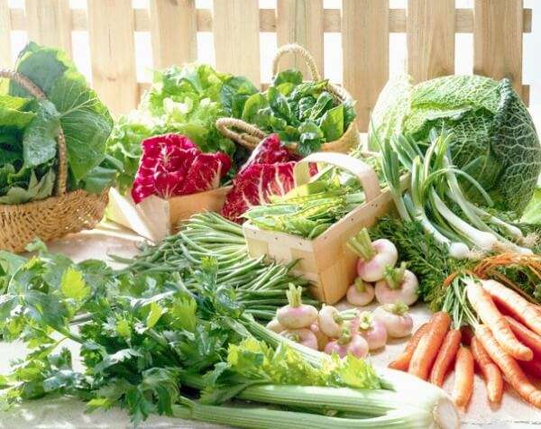 meo-chua-chay-khi-lo-nau-thuc-an-qua-cay