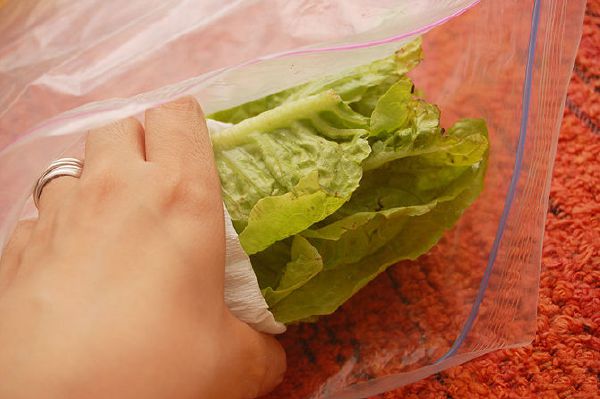 Mẹo giữ xà lách tươi ngon cả tuần 38 Mẹo giữ xà lách tươi ngon cả tuần 10