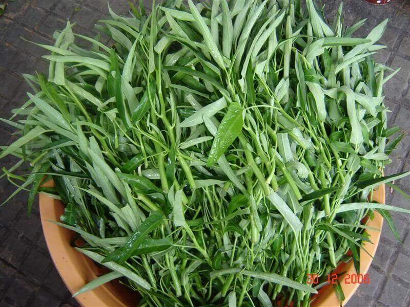 Mẹo hay để món rau muống xào tỏi của bạn ngon như ngoài hàng 11