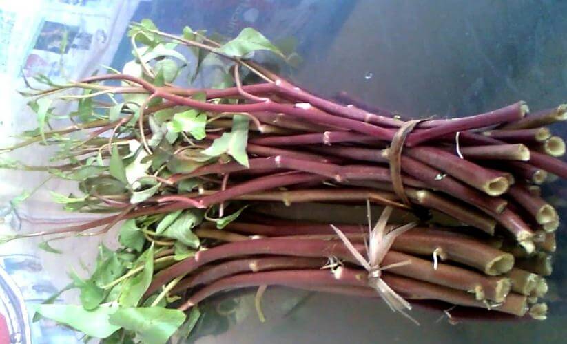 Mẹo hay để món rau muống xào tỏi của bạn ngon như ngoài hàng 12
