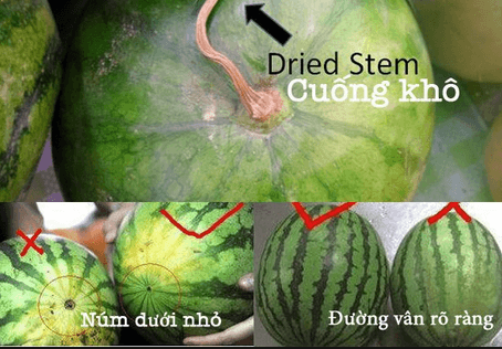 Mẹo lựa trái cây vừa sạch vừa ngon trong ngày Tết 35 meo-lua-trai-cay-ngay-tet-cho-gia-dinh