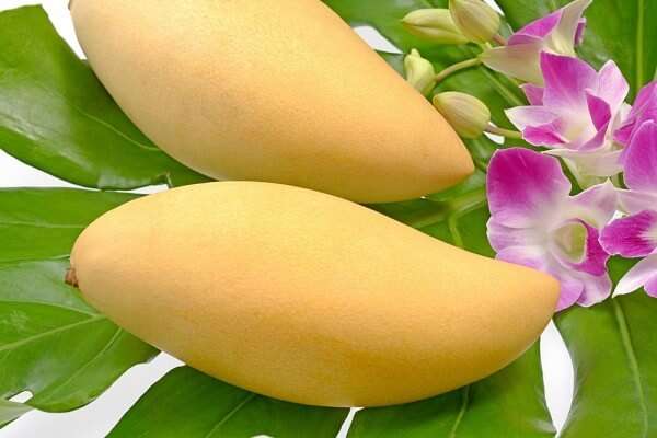 Mẹo lựa trái cây vừa sạch vừa ngon trong ngày Tết 37 meo-lua-trai-cay-ngay-tet-cho-gia-dinh