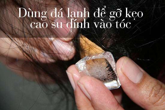 t&oacute;c d&iacute;nh kẹo cao su