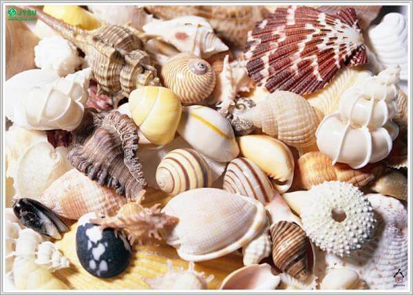Một vài mẹo hay hữu ích dành cho các bà nội trợ 37 mot-vai-meo-hay-huu-ich-danh-cho-cac-ba-noi-tro