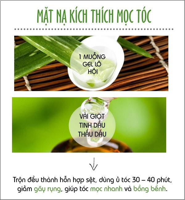 Mùa hè "giải nhiệt" cho da và tóc bằng lô hội 40 Mùa hè "giải nhiệt" cho da và tóc bằng lô hội 12