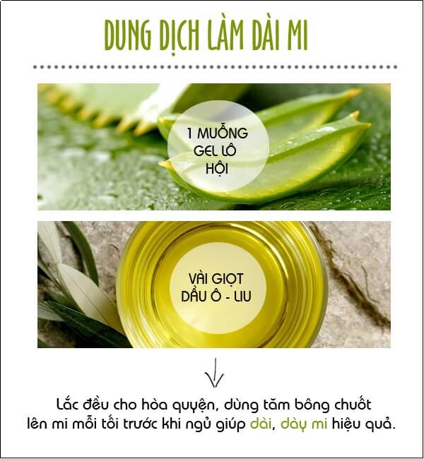 Mùa hè "giải nhiệt" cho da và tóc bằng lô hội 41 Mùa hè "giải nhiệt" cho da và tóc bằng lô hội 13