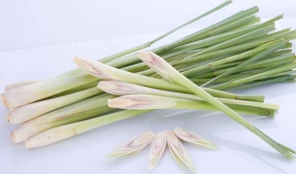 Nem lụi nướng nóng hổi cho mùa lạnh 36 nem-lui-nuong-nong-hoi-cho-mua-lanh