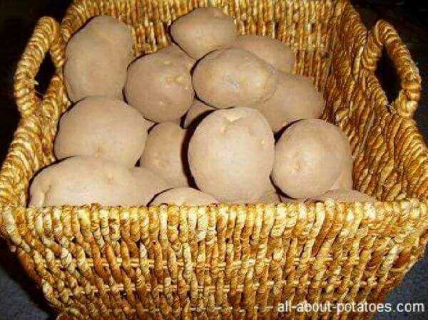 Nếu bảo quản rau quả theo cách này bạn sẽ tiết kiệm được rất nhiều tiền 60 Nếu bảo quản rau quả theo cách này bạn sẽ tiết kiệm được rất nhiều tiền 32