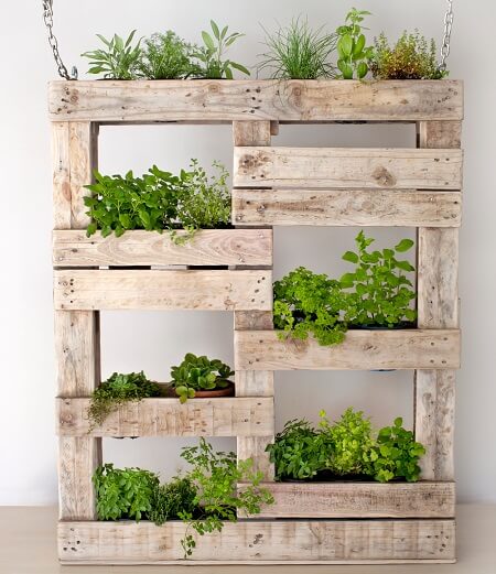 Ngất ngây với 10 kiểu trồng rau siêu đẹp, siêu tiết kiệm diện tích với gỗ pallet 21