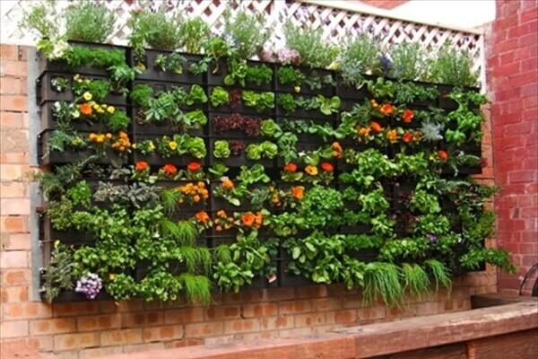 Ngất ngây với 10 kiểu trồng rau siêu đẹp, siêu tiết kiệm diện tích với gỗ pallet 23