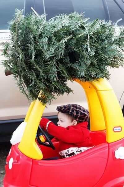 Ngọt lịm với những bức ảnh giáng sinh sớm đáng yêu của bé 21