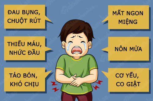 Nhận biết và phòng tránh nhiễm độc chì cho bé 35 Nhận biết và phòng tránh nhiễm độc chì cho bé 7