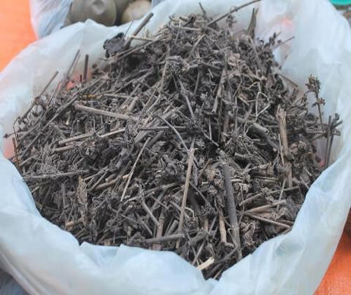 Nhân trần " thần dược" sức khỏe ngày nóng 37 cam-th