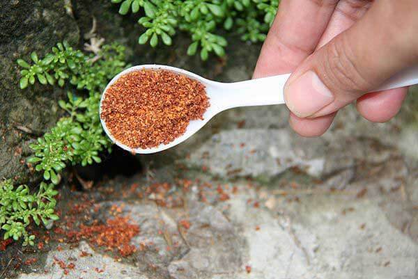 Nhiều cách đuổi kiến bằng các nguyên liệu dễ tìm có sẵn trong bếp 37 Nhiều cách đuổi kiến bằng các nguyên liệu dễ tìm có sẵn trong bếp 9