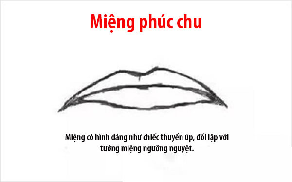 Nhìn tướng miệng đoán biết ngay vận sang hèn, sướng khổ 41 Nhìn tướng miệng đoán biết ngay vận sang hèn, sướng khổ 13