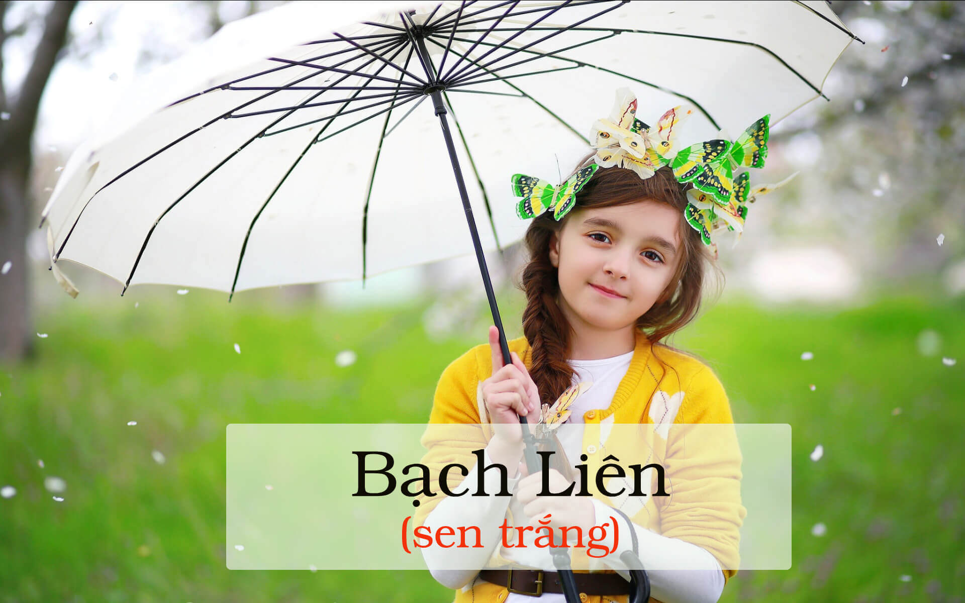 Những cái tên dành cho bé gái 2017 hợp phong thủy (Phần 1) 18