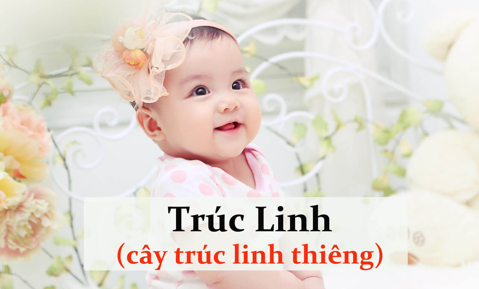 Những cái tên dành cho bé gái 2017 hợp phong thủy (Phần 2) 51 Những cái tên dành cho bé gái 2017 hợp phong thủy (Phần 2) 23