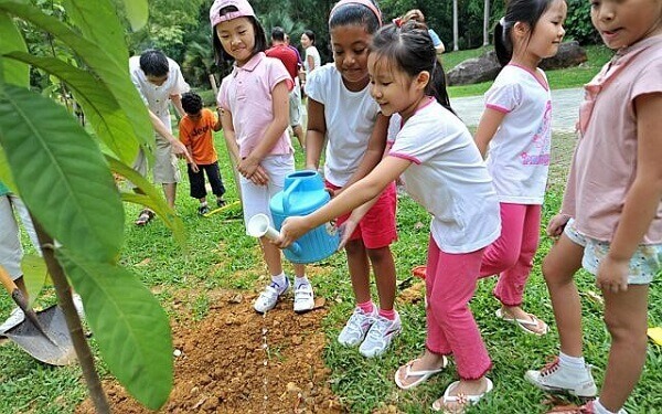 Những chiêu dạy con yêu thiên nhiên của một bà mẹ thông thái 35 Những chiêu dạy con yêu thiên nhiên của một bà mẹ thông thái 7