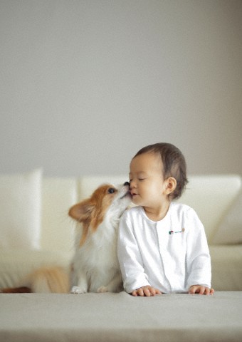 Những loại bệnh bé dễ nhiễm từ vật nuôi trong nhà 36 nhung-loai-benh-be-de-nhiem-tu-vat-nuoi-trong-nha