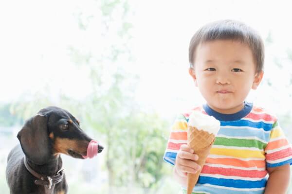 Những loại bệnh bé dễ nhiễm từ vật nuôi trong nhà 37 nhung-loai-benh-be-de-nhiem-tu-vat-nuoi-trong-nha