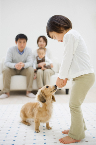Những loại bệnh bé dễ nhiễm từ vật nuôi trong nhà 38 nhung-loai-benh-be-de-nhiem-tu-vat-nuoi-trong-nha
