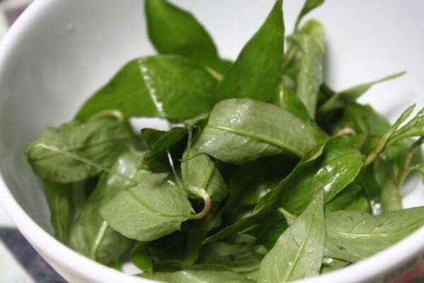 Những loại rau củ mẹ bầu tuyệt đối đừng ăn 10