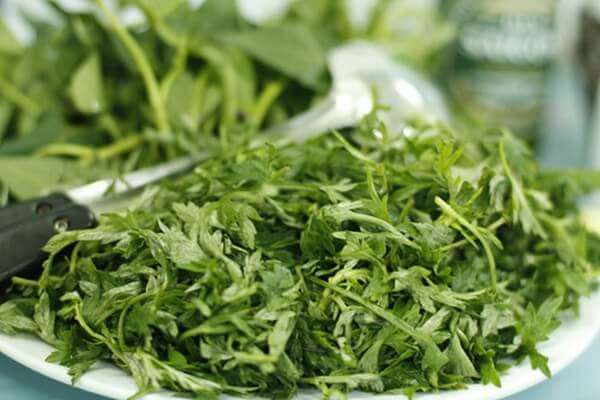 Những loại rau củ mẹ bầu tuyệt đối đừng ăn 13