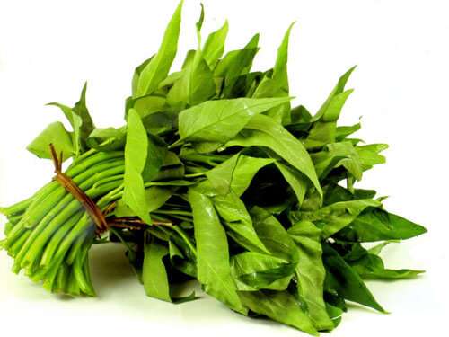 Những loại rau dễ có giun sán nhất 35 nhung-loai-rau-de-co-giun-san-nhat