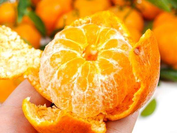 Những loại trái cây nên ăn sau sinh 36 nhung-loai-trai-cay-nen-an-sau-sinh