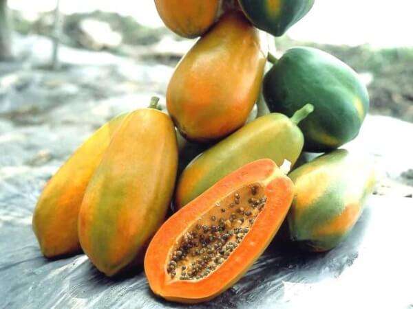 Những loại trái cây nên ăn sau sinh 37 nhung-loai-trai-cay-nen-an-sau-sinh