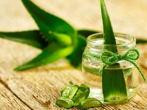 Những nguyên liệu tự nhiên "cấp cứu" làn da bị cháy nắng 36 Những nguyên liệu tự nhiên "cấp cứu" làn da bị cháy nắng 8