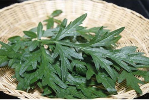 Những nguyên liệu tự nhiên giúp chị em giải quyết nỗi lo khó nói ở "vùng kín" 38 Ngải cứu