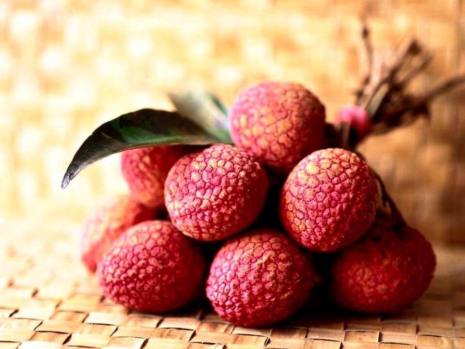 Những thực phẩm bà bầu tuyệt đối tránh xa trong mùa hè 35 nhung-thuc-pham-ba-bau-tuyet-doi-tranh-xa-trong-mua-he