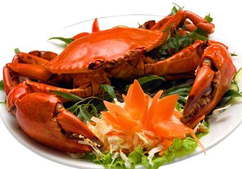 nhung-thuc-pham-me-an-nhieu-de-ton-hai-thai-nhi