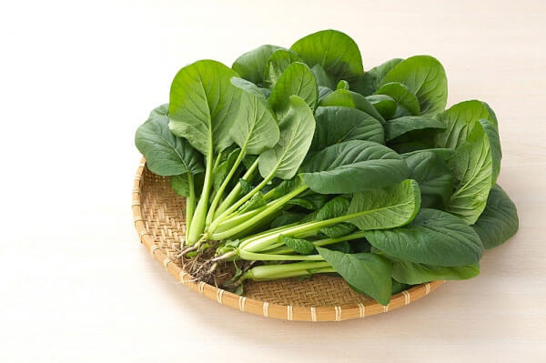 Những thực phẩm tốt cho đôi mắt của bé 35 Những thực phẩm tốt cho đôi mắt của bé 7