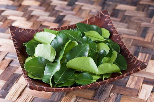 Nồi lá xông giải cảm “đúng chuẩn” tại nhà 35 Nồi lá xông giải cảm “đúng chuẩn” tại nhà 8