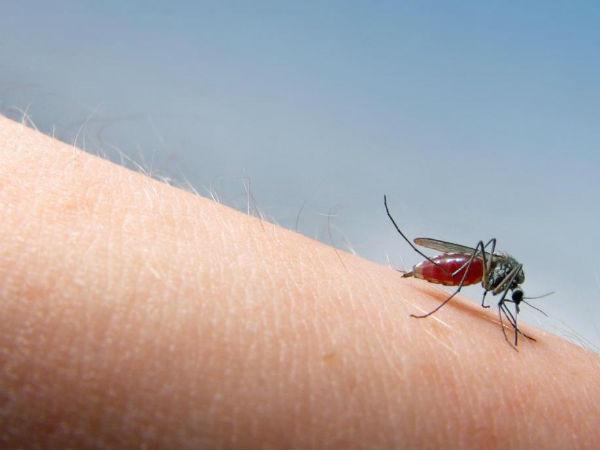 Nước ép tỏi có thể giúp ngăn ngừa vô sinh 43 Nước ép tỏi có thể giúp ngăn ngừa vô sinh 15