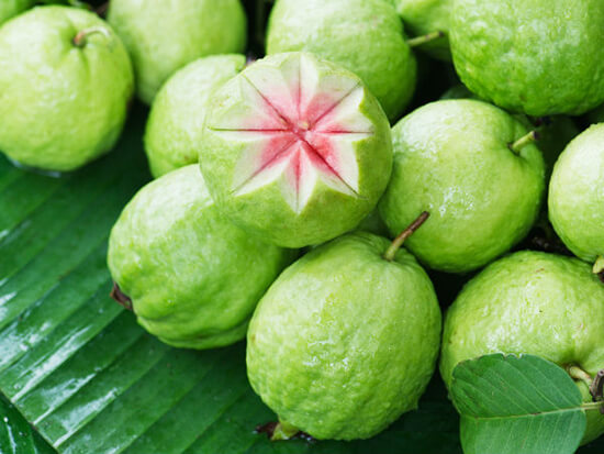 Ổi mang đến nguồn dinh dưỡng thần kỳ cho bé 36 oi-mang-den-nguon-dinh-duong-than-ky-cho-be