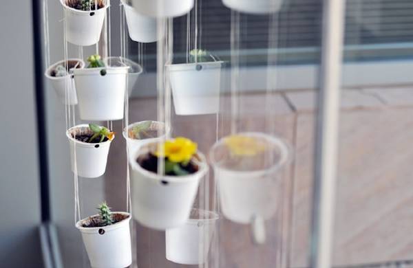 Siêu tiết kiệm với 4 cách tận dụng cốc giấy cũ 44 Siêu tiết kiệm với 4 cách tận dụng cốc giấy cũ 16