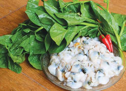 Tác dụng tuyệt vời của rau mùng tơi 37 tac-dung-tuyet-voi-cua-rau-mung-toi