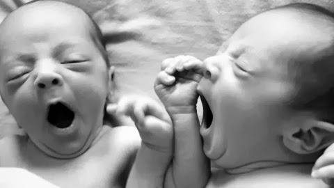 Tại sao con người dễ bị ngáp lây? 35 Tại sao con người dễ bị ngáp lây? 7