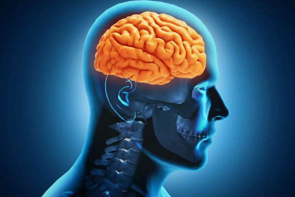 Tầm quan trọng của Omega3 đối với cơ thể 35 Tầm quan trọng của Omega3