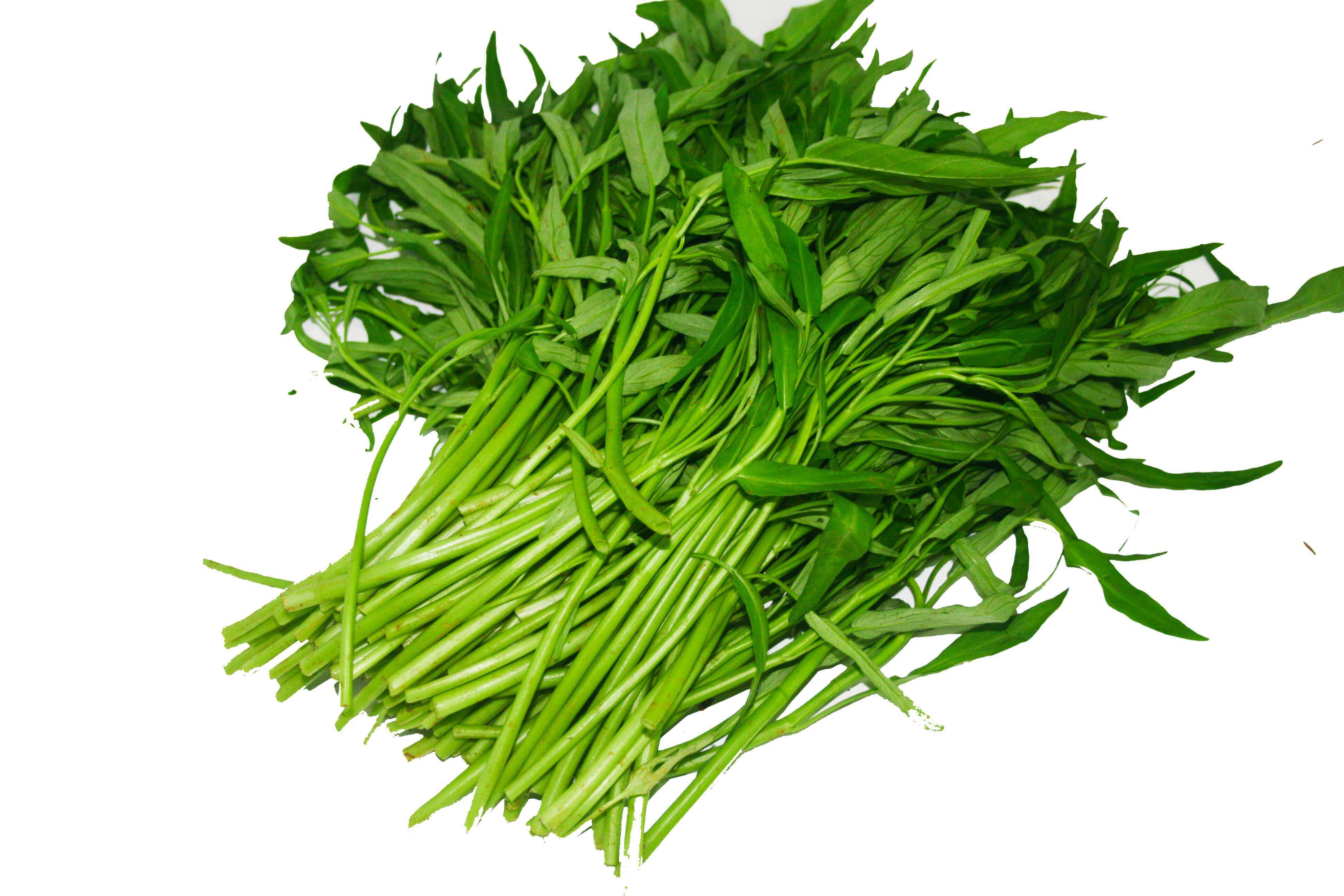 Tất tần tật công dụng chữa bệnh tuyệt vời của rau muống 34 Tất tần tật công dụng chữa bệnh tuyệt vời của rau muống 6