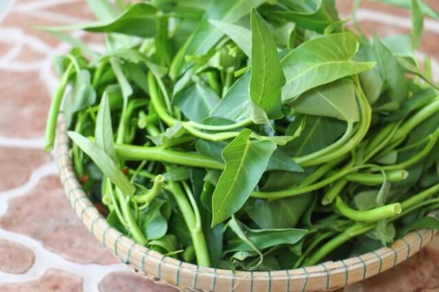 Tất tần tật công dụng chữa bệnh tuyệt vời của rau muống 7
