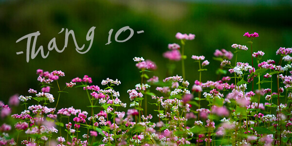 Tháng 10: Bất ngờ đang chờ bạn 33 Tháng 10: Bất ngờ đang chờ bạn 5