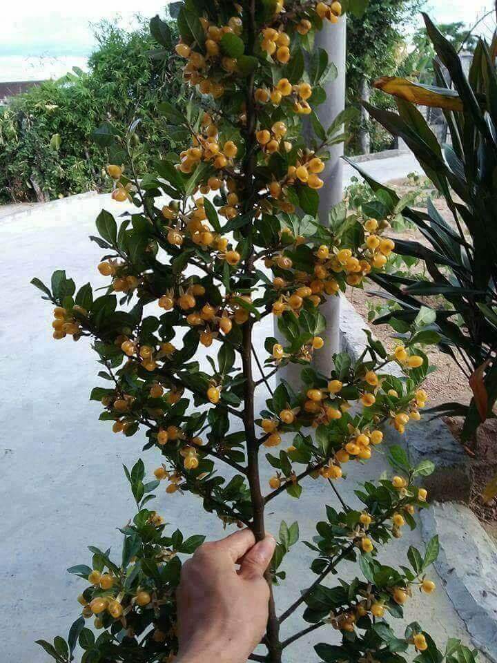 Thế hệ 8x, 9x bồi hồi với "tuổi thơ dữ dội" qua từng bức ảnh 22