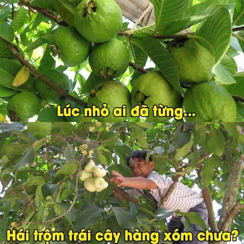 Thế hệ 8x, 9x bồi hồi với "tuổi thơ dữ dội" qua từng bức ảnh 31